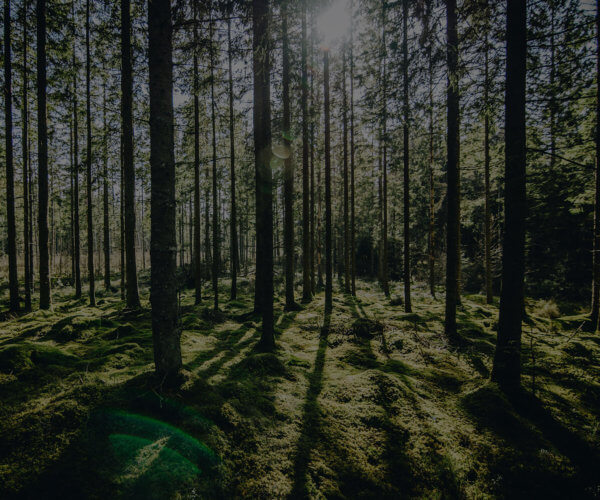 KLM Empowered Embarks on a Mission to Greatness